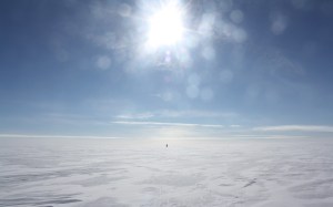 Greenland man hauling.