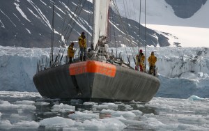 Finn McCann on South Georgia.